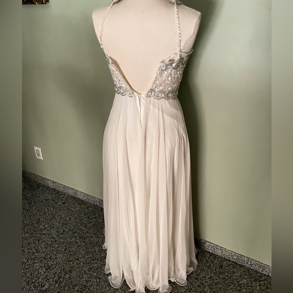 Gorgeous gown - Picture 5 of 5